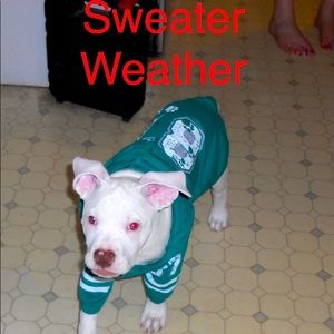 Warm sweaters available. Great gifts or just wear